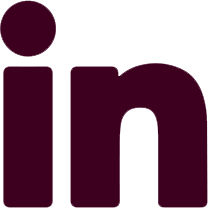 The LinkedIn Logo